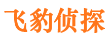 岳麓市私家侦探